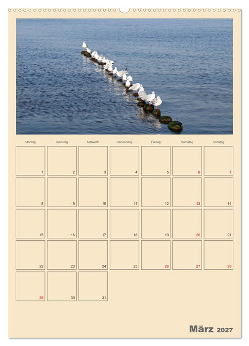 Usedom Ostsee - Terminplaner (CALVENDO Wandkalender 2027)