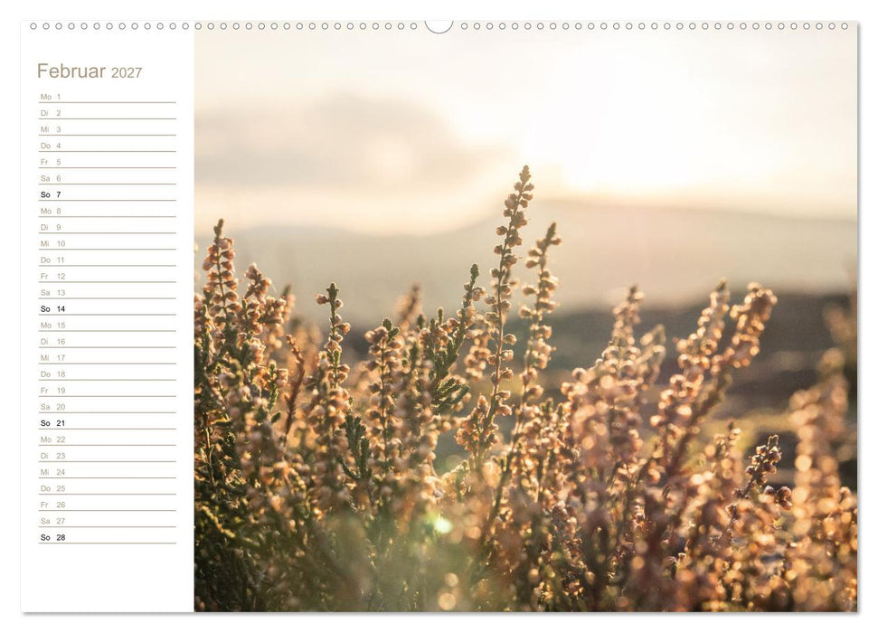 Der Sonne entgegen – Elbsandstein (CALVENDO Wandkalender 2027)