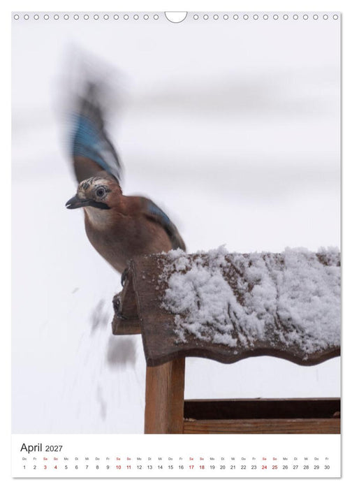 Winter in Lappland - Bezaubernde Schönheit (CALVENDO Wandkalender 2027)