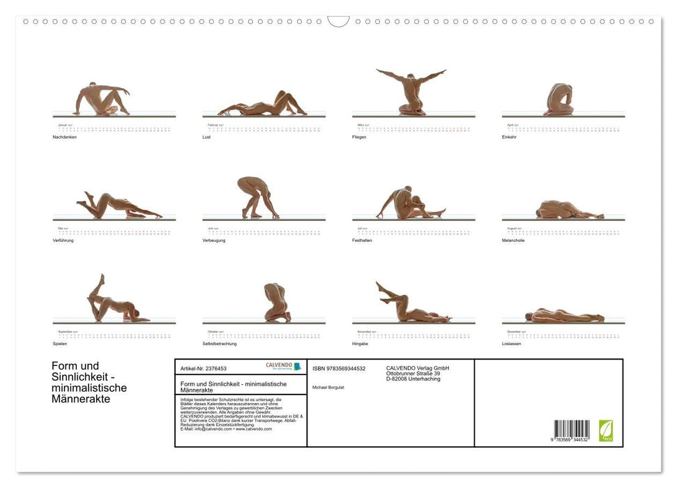 Form und Sinnlichkeit - minimalistische Männerakte (CALVENDO Wandkalender 2027)