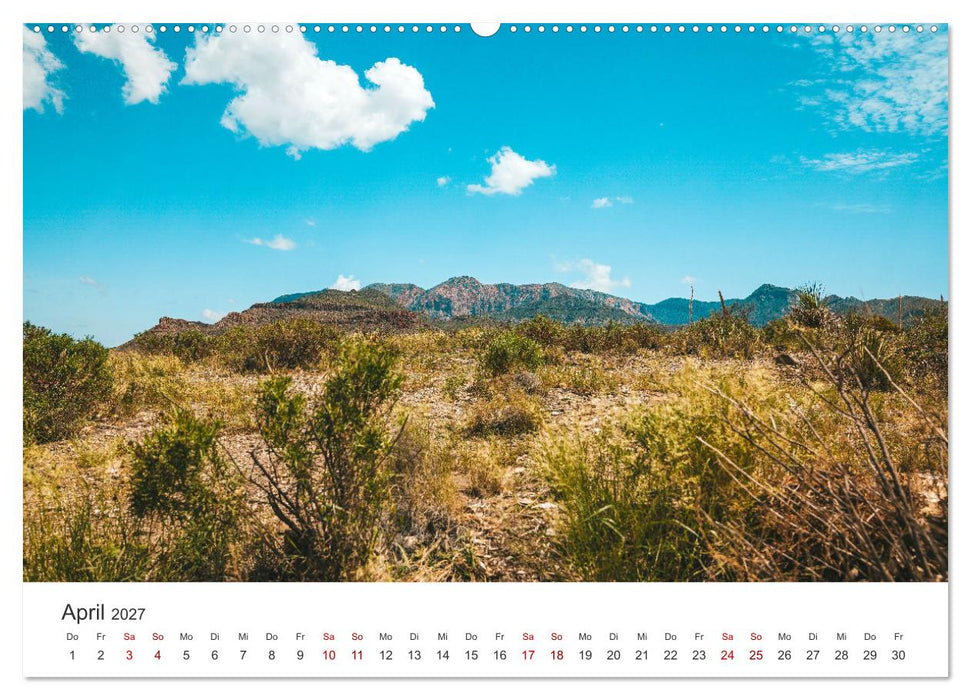 Texas - Howdy aus dem Lone Star State! (CALVENDO Wandkalender 2027)