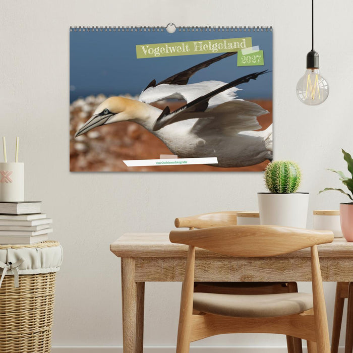 Vogelwelt Helgoland - von Ostfriesenfotografie (CALVENDO Wandkalender 2027)