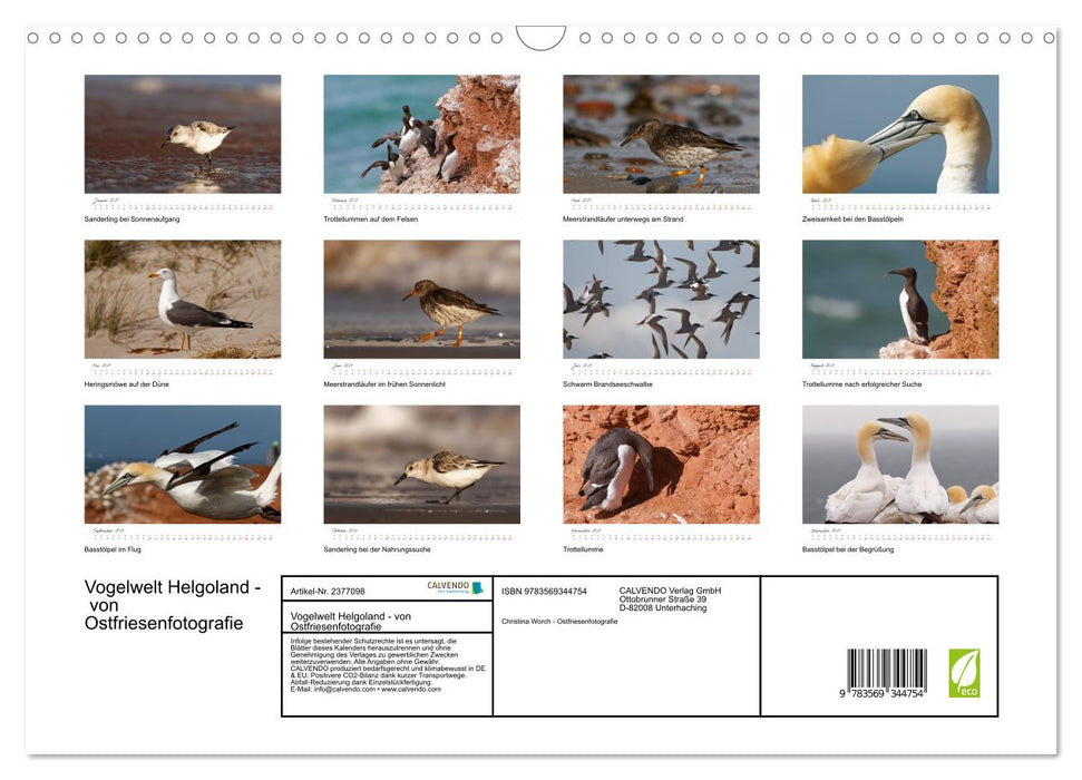 Vogelwelt Helgoland - von Ostfriesenfotografie (CALVENDO Wandkalender 2027)
