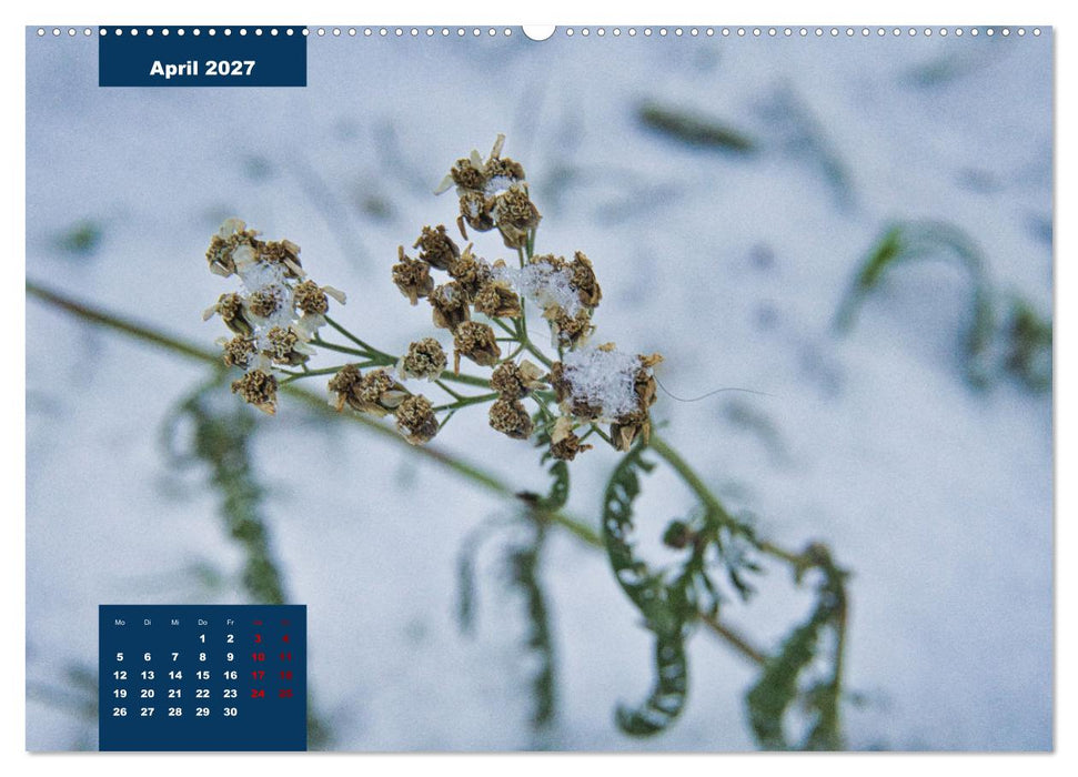 Winterstimmungen in Deutschland (CALVENDO Premium Wandkalender 2027)