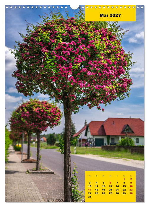 Stille Riesen (CALVENDO Wandkalender 2027)