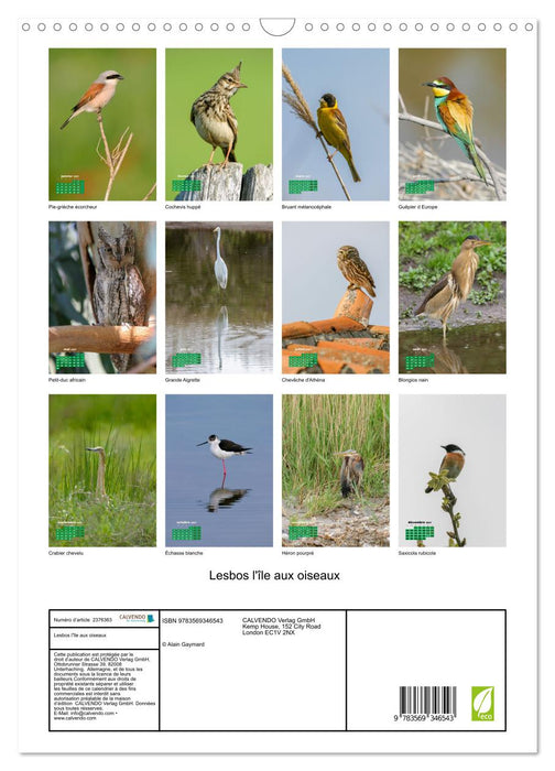 Lesbos l'île aux oiseaux (CALVENDO Calendrier mensuel 2027)