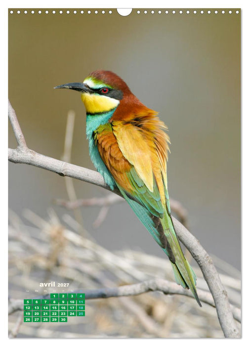 Lesbos l'île aux oiseaux (CALVENDO Calendrier mensuel 2027)