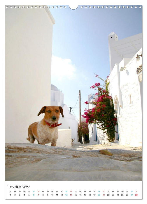 Souvenirs de Grèce (CALVENDO Calendrier mensuel 2027)