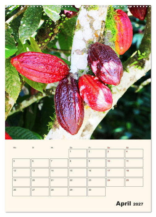 Ecuador - Terminplaner (CALVENDO Wandkalender 2027)