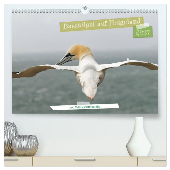 Basstölpel auf Helgoland - von Ostfriesenfotografie (CALVENDO Premium Wandkalender 2027)