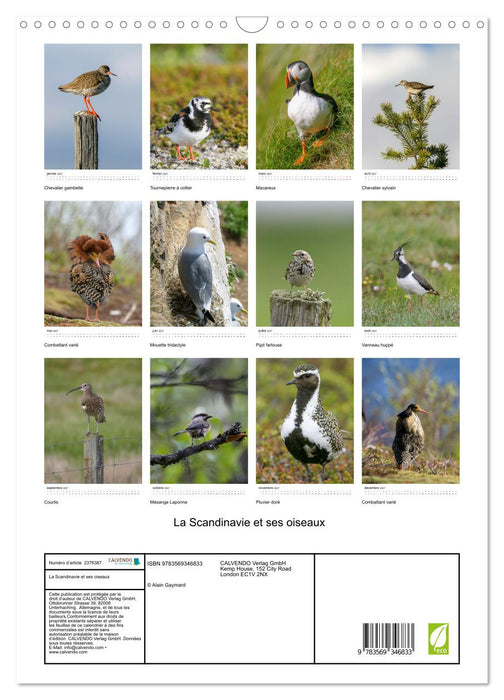 La Scandinavie et ses oiseaux (CALVENDO Calendrier mensuel 2027)