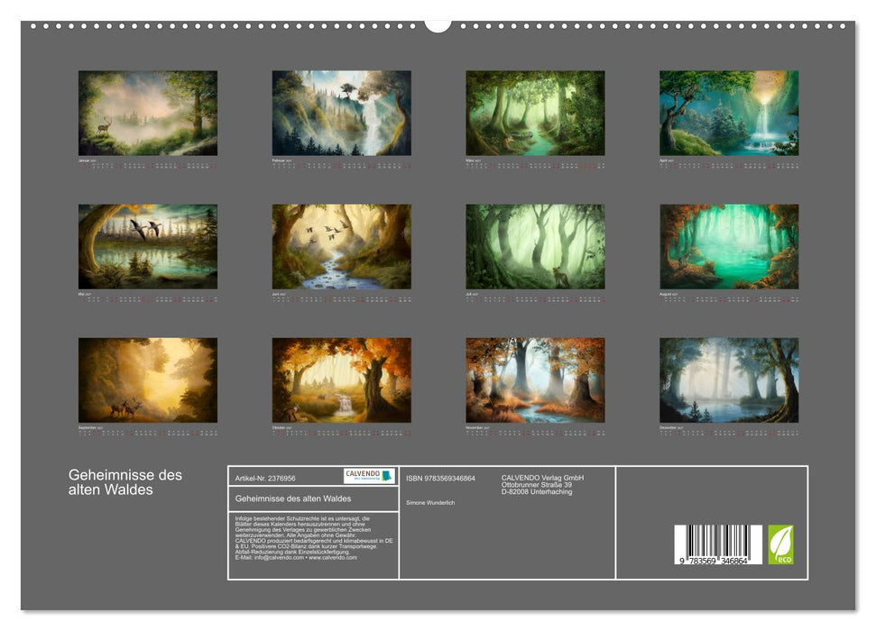 Geheimnisse des alten Waldes (CALVENDO Premium Wandkalender 2027)