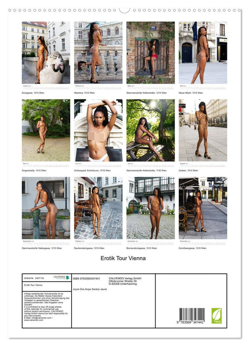 Erotik Tour Vienna (CALVENDO Premium Wandkalender 2027)