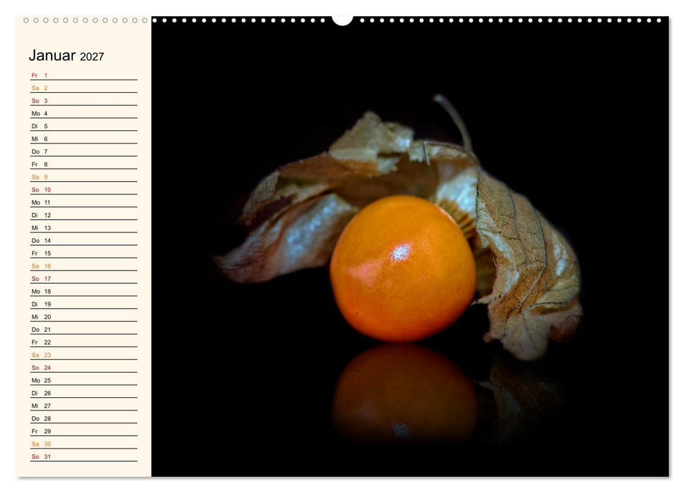 Früchte-Galerie (CALVENDO Premium Wandkalender 2027)