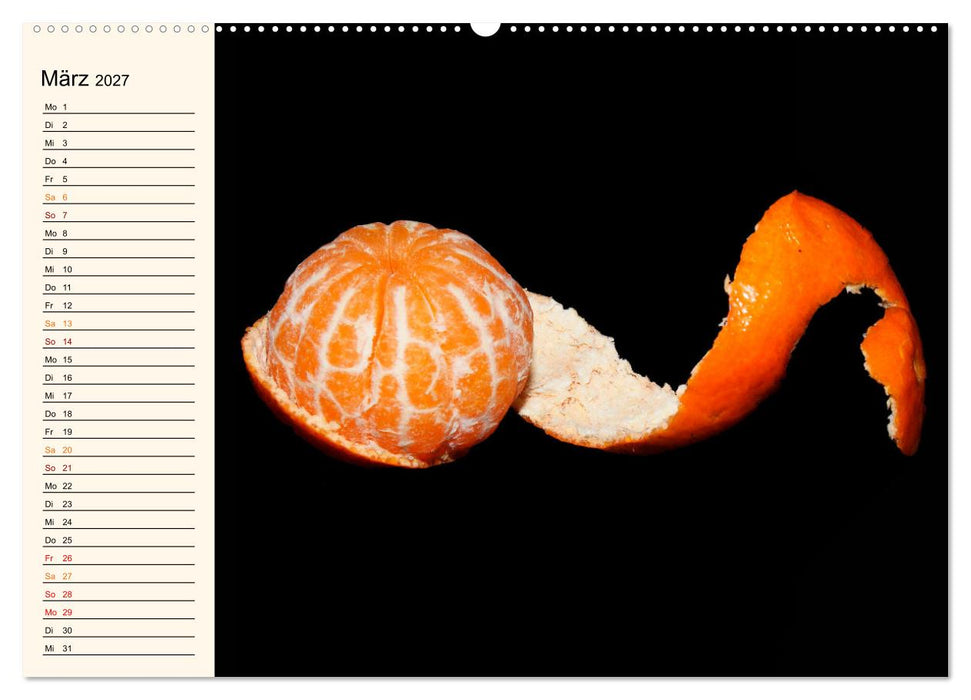 Früchte-Galerie (CALVENDO Premium Wandkalender 2027)