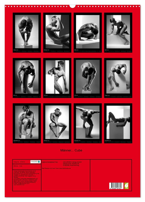 Männer... Cube (CALVENDO Wandkalender 2027)