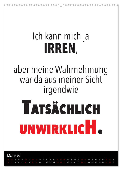 Ordentlich durcheinander (CALVENDO Premium Wandkalender 2027)