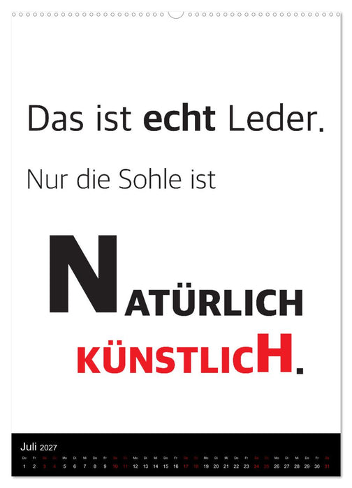 Ordentlich durcheinander (CALVENDO Premium Wandkalender 2027)