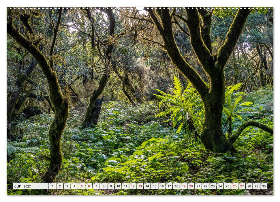 Kanarische Inseln - El Hierro (CALVENDO Wandkalender 2027)