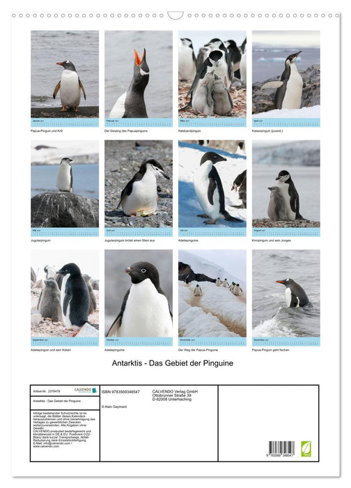 Antarktis - Das Gebiet der Pinguine (CALVENDO Wandkalender 2027)