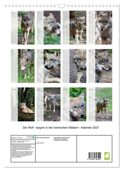 Der Wolf - Isegrim in den heimischen Wäldern - Kalender 2027 (CALVENDO Wandkalender 2027)