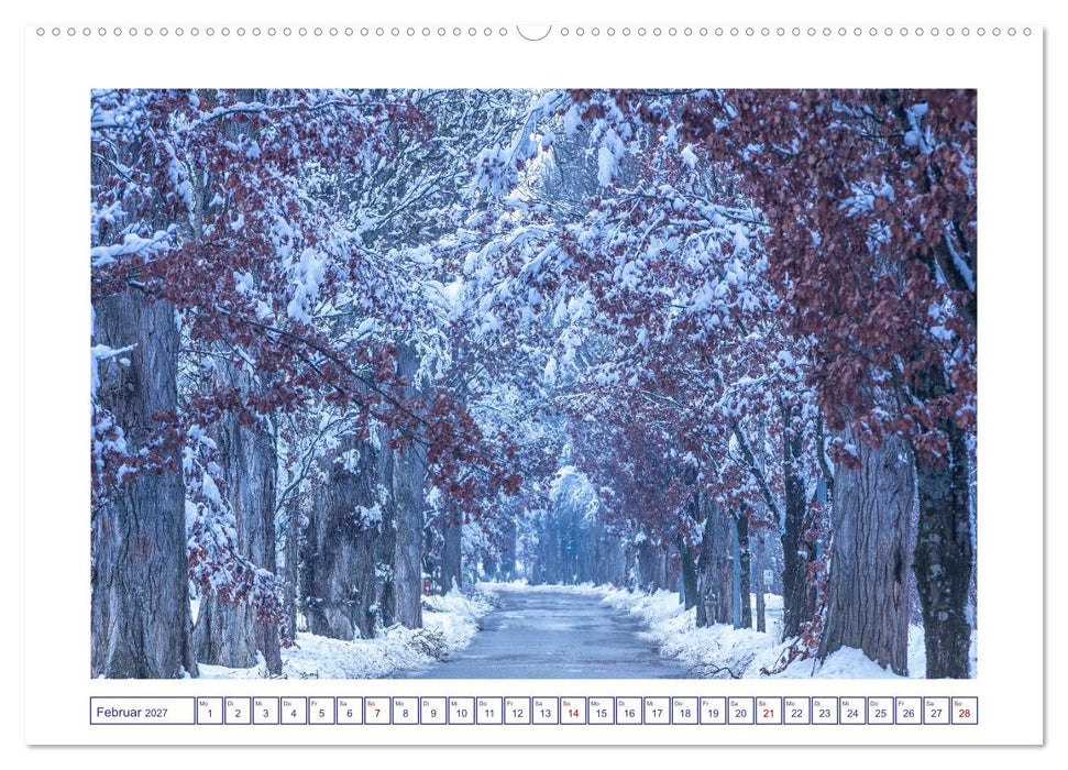 Radolfzell am schönen Bodensee (CALVENDO Premium Wandkalender 2027)
