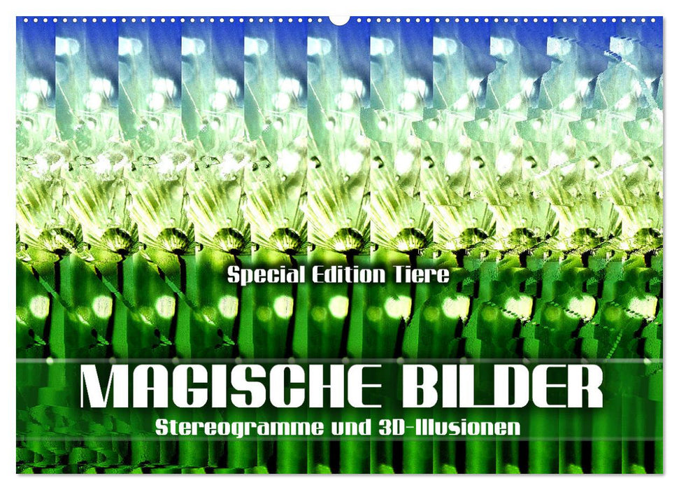 Magische Bilder - Stereogramme und 3D-Illusionen (CALVENDO Wandkalender 2027)