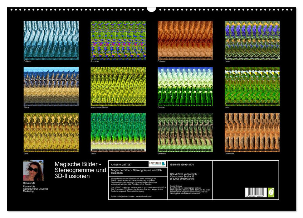 Magische Bilder - Stereogramme und 3D-Illusionen (CALVENDO Wandkalender 2027)