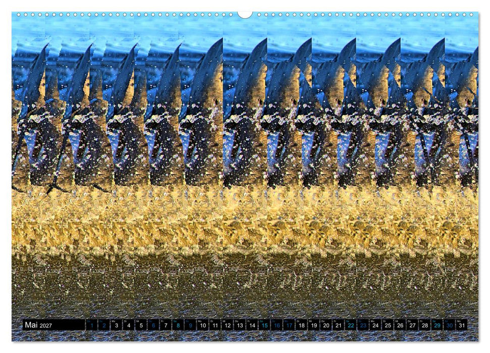 Magische Bilder - Stereogramme und 3D-Illusionen (CALVENDO Wandkalender 2027)