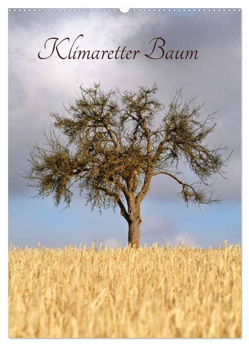 Klimaretter Baum (CALVENDO Wandkalender 2027)