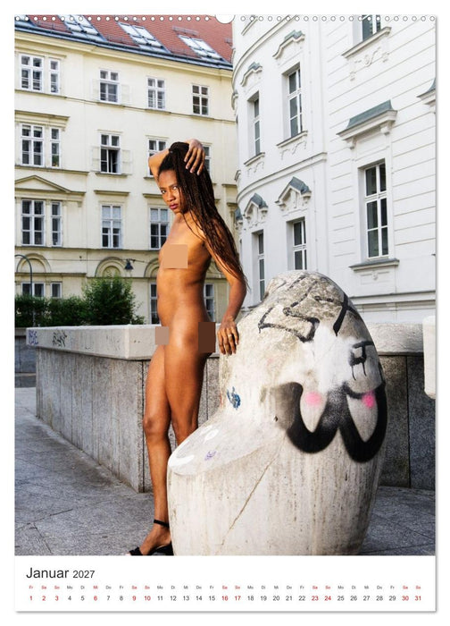 Erotik Tour Vienna (CALVENDO Wandkalender 2027)