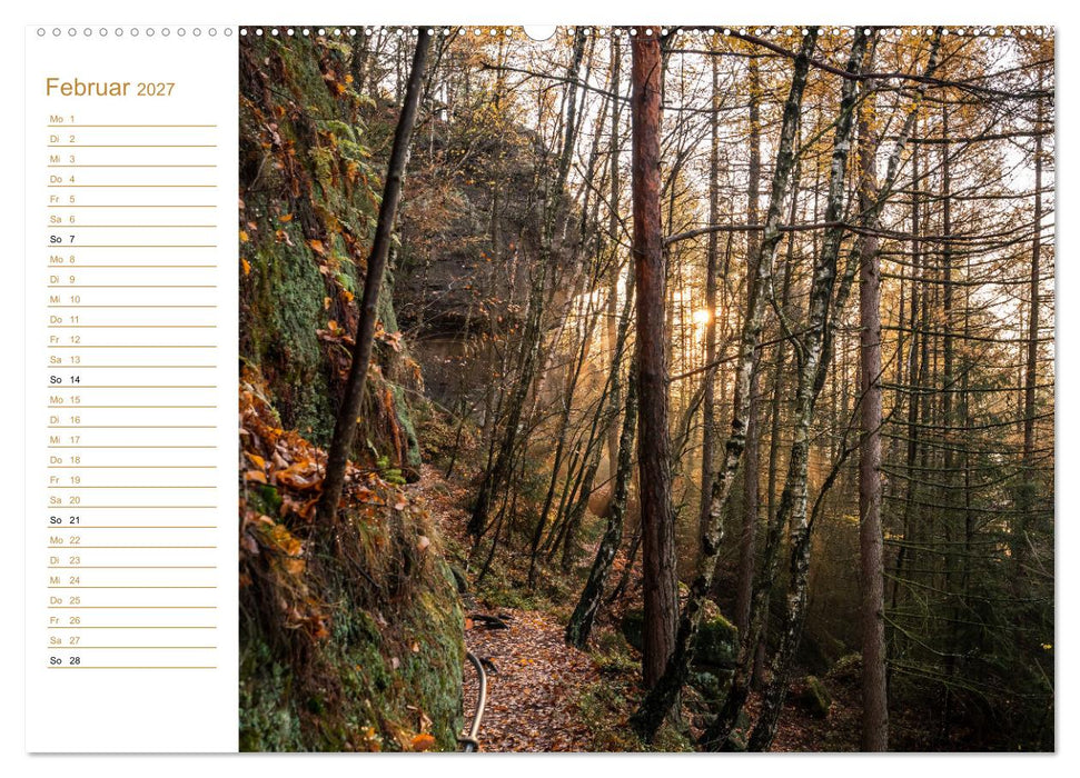 Ein goldenes Jahr - Elbsandstein (CALVENDO Wandkalender 2027)