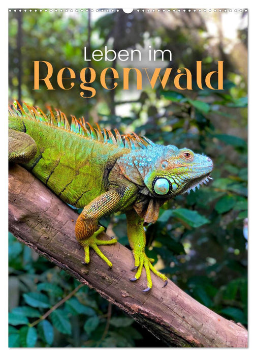 Leben im Regenwald (CALVENDO Wandkalender 2027)