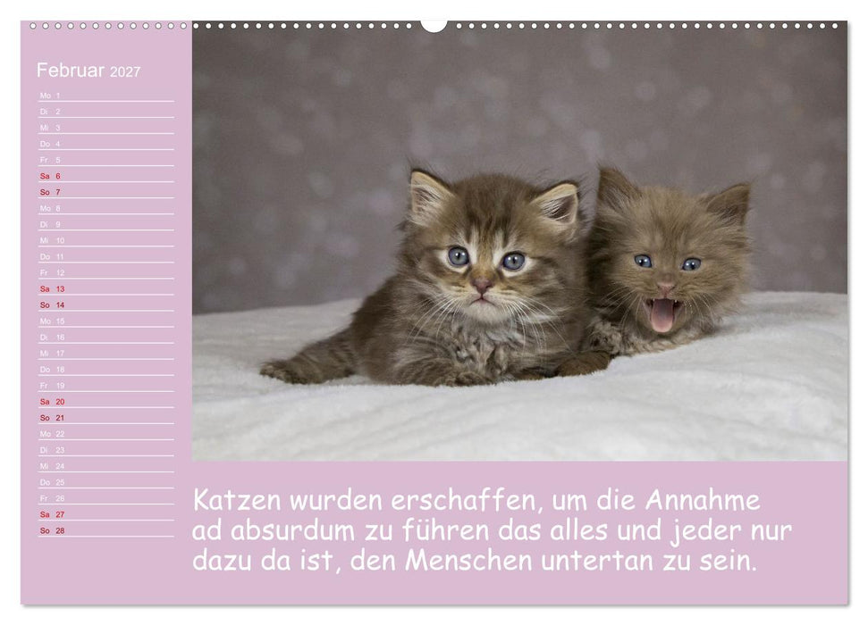 Drollige Tierkinder Mit Sprüchen (CALVENDO Premium Wandkalender 2027)