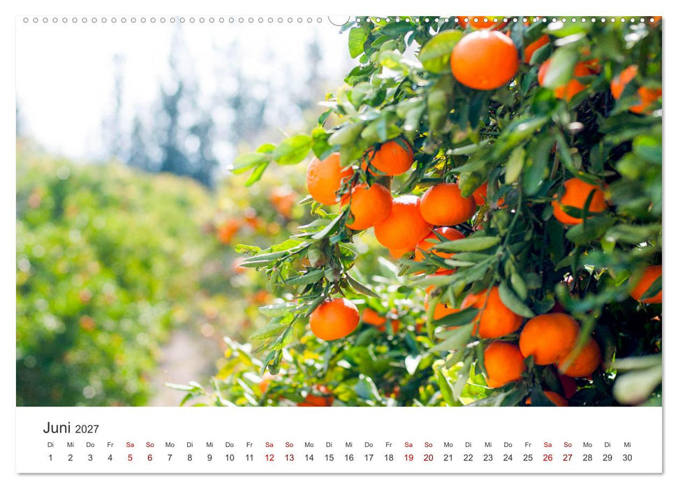 Die Sonneninsel Zypern (CALVENDO Premium Wandkalender 2027)