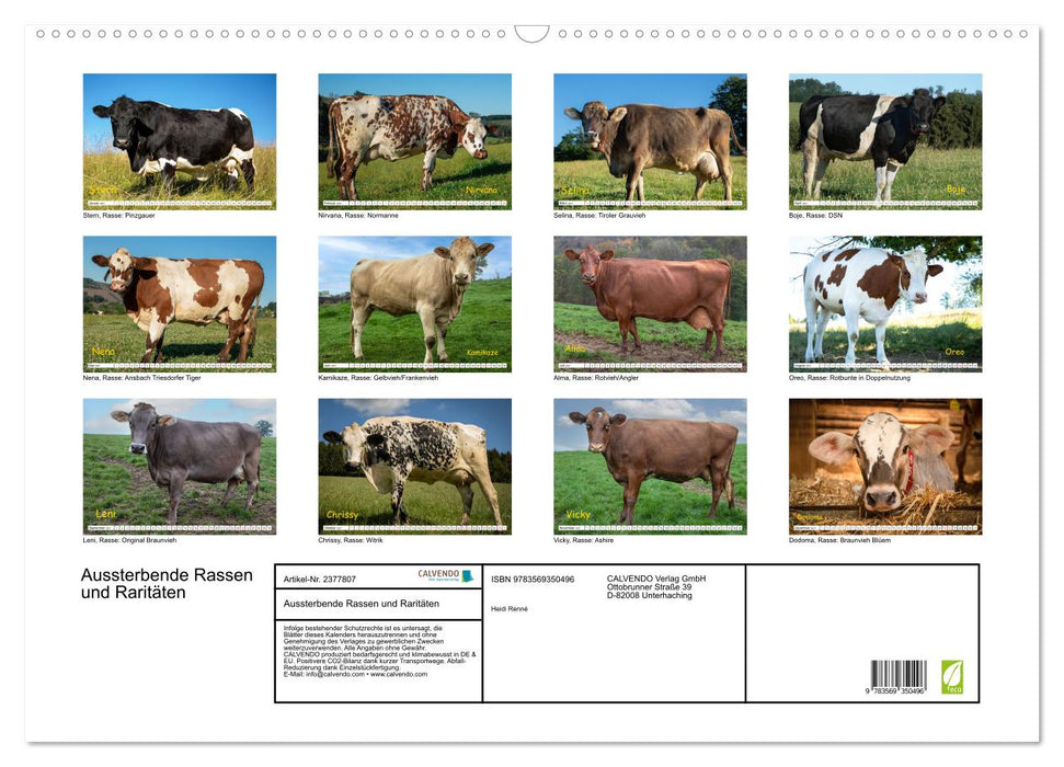 Aussterbende Rassen und Raritäten (CALVENDO Wandkalender 2027)