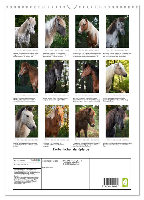 Farbenfrohe Islandpferde (CALVENDO Wandkalender 2027)