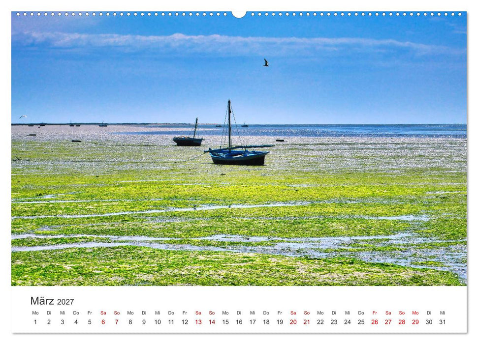 Faszination Tunesien (CALVENDO Premium Wandkalender 2027)