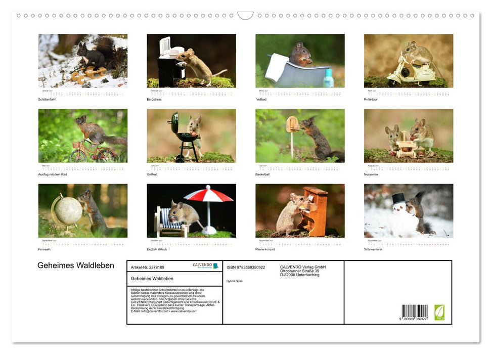 Geheimes Waldleben (CALVENDO Wandkalender 2027)