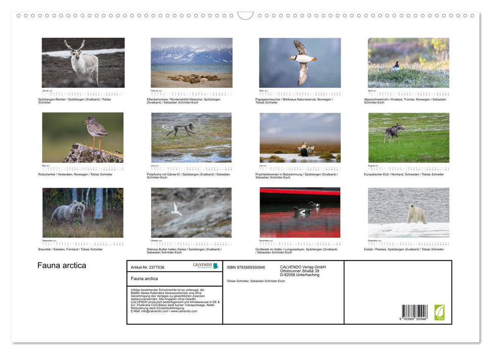 Fauna arctica (CALVENDO Wandkalender 2027)