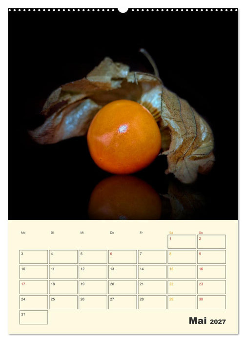Allerlei Früchte (CALVENDO Wandkalender 2027)