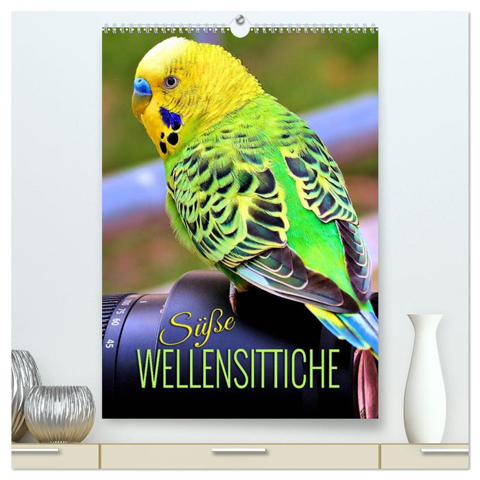 Süße Wellensittiche (CALVENDO Premium Wandkalender 2027)