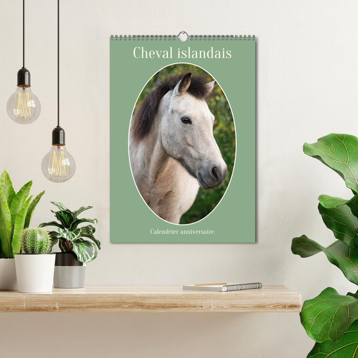 Cheval islandais - Calendrier anniversaire (CALVENDO Calendrier mensuel 2027)