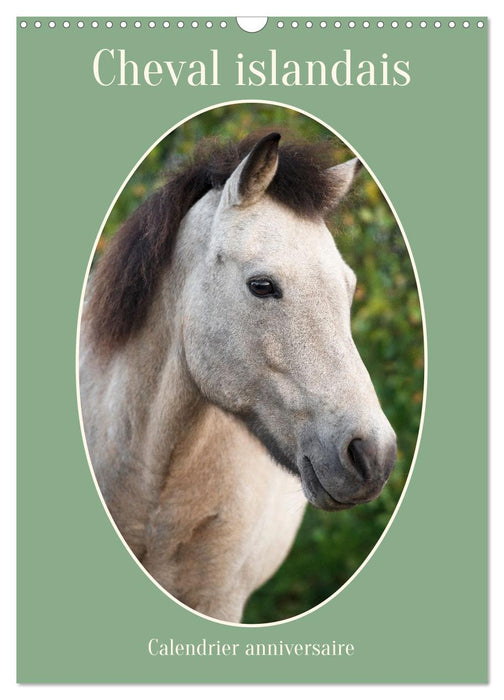 Cheval islandais - Calendrier anniversaire (CALVENDO Calendrier mensuel 2027)