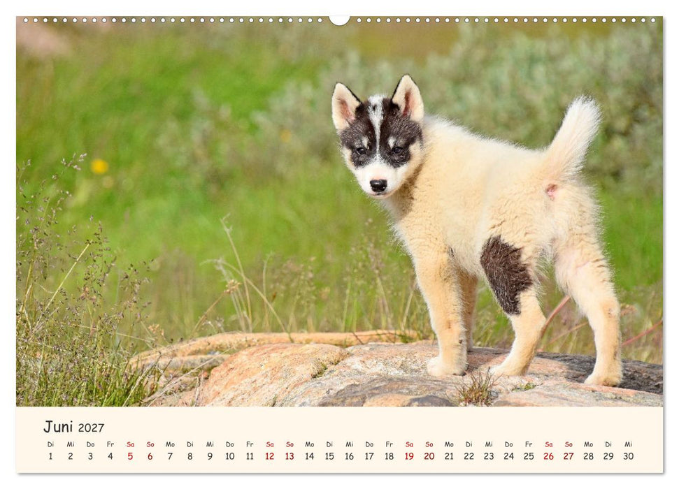 Grönland Faszinierend atemberaubend grandios (CALVENDO Wandkalender 2027)