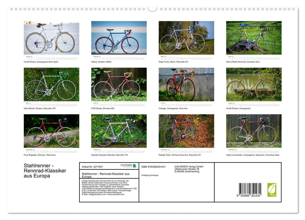 Stahlrenner - Rennrad-Klassiker aus Europa (CALVENDO Premium Wandkalender 2027)