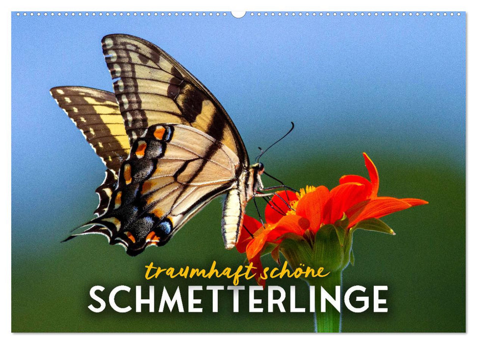 Traumhaft schöne Schmetterlinge (CALVENDO Wandkalender 2027)