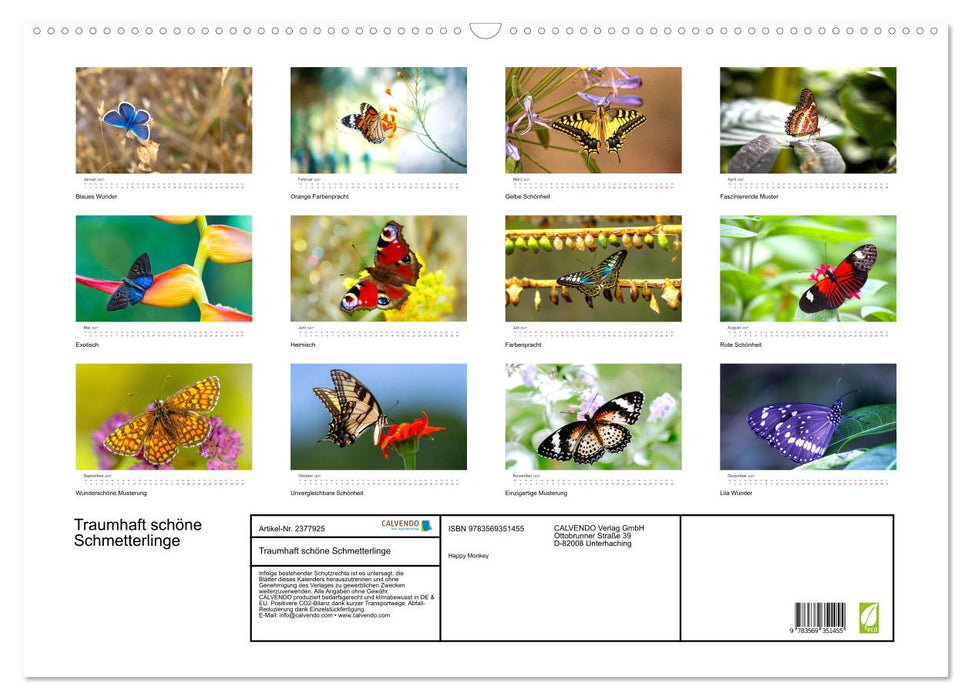 Traumhaft schöne Schmetterlinge (CALVENDO Wandkalender 2027)