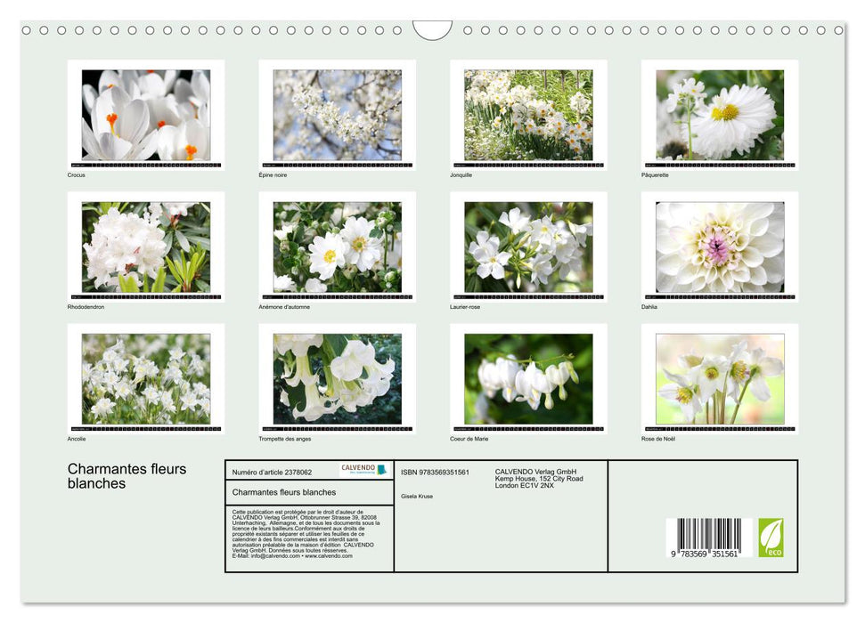 Charmantes fleurs blanches (CALVENDO Calendrier mensuel 2027)