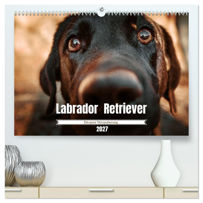 Verzauberung Labrador Retriever 2027 (CALVENDO Premium Wandkalender 2027)